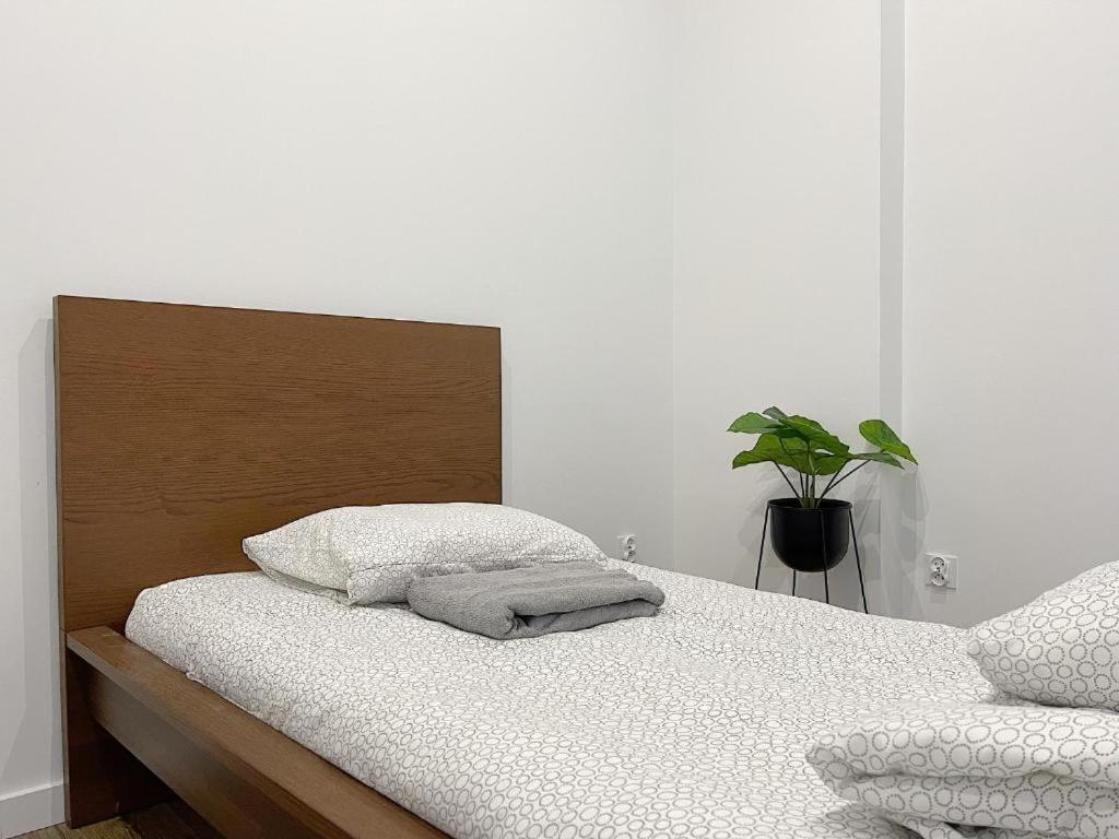 Polonia Art Apartments In The City Center كاتوفيتسه المظهر الخارجي الصورة